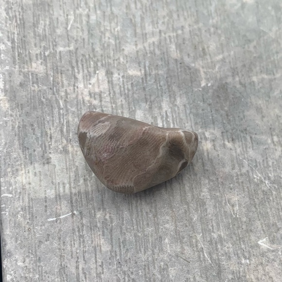 Petoskey stone - Picture 4 of 6